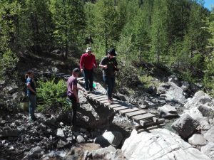 IMG 20170805 120643 300x225