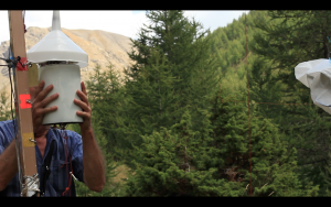 Capture dÔÇÖe¦ücran 2017 08 31 a¦Ç 22.54.54