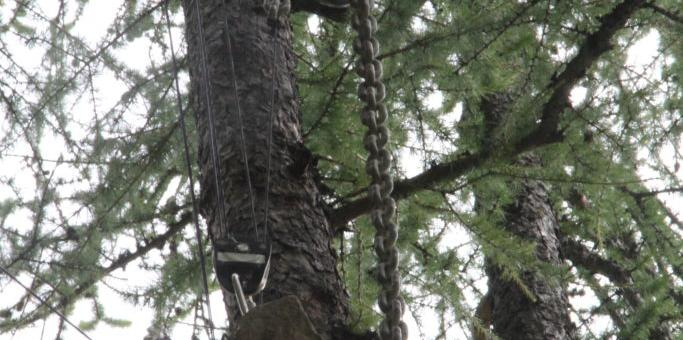 Photos contrepoids point Est 2018