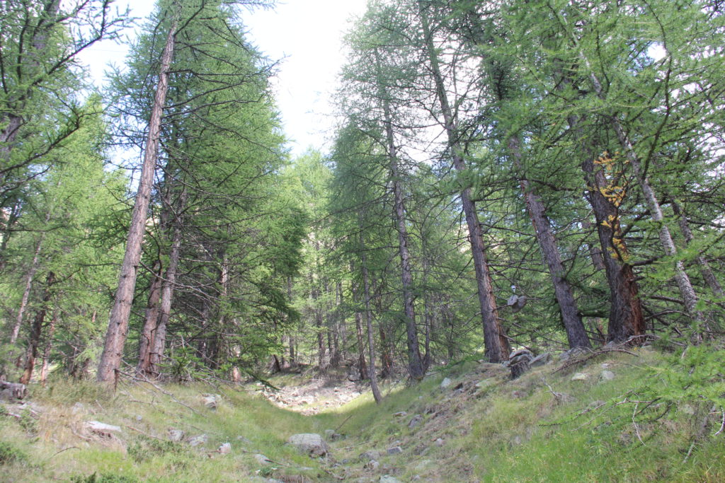 Photos. Contrepoids point Ouest 2018